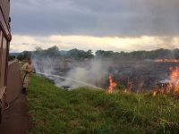 bombeiros-dao-dicas-para-prevenir-incendios-florestais-durante-tempo-seco-em-ms